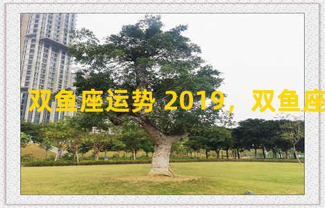 双鱼座运势 2019，双鱼座运势 2023